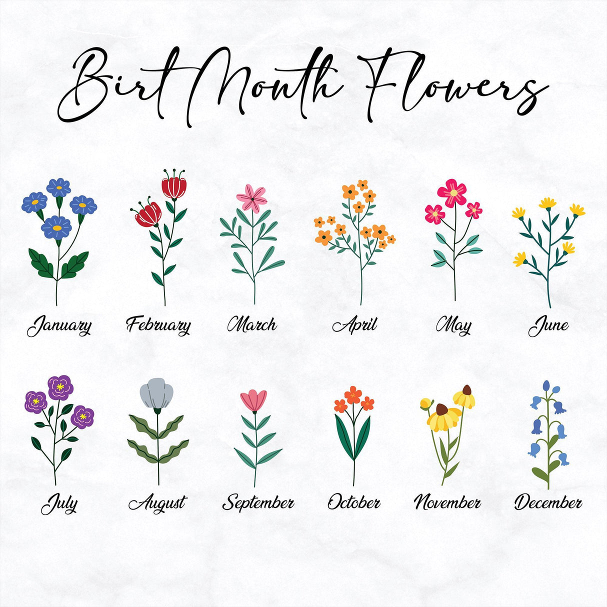 Grandma’s Garden Glass Cake Stand: Personalized Cake Dome, Clear Glass Platter for Family Kitchen