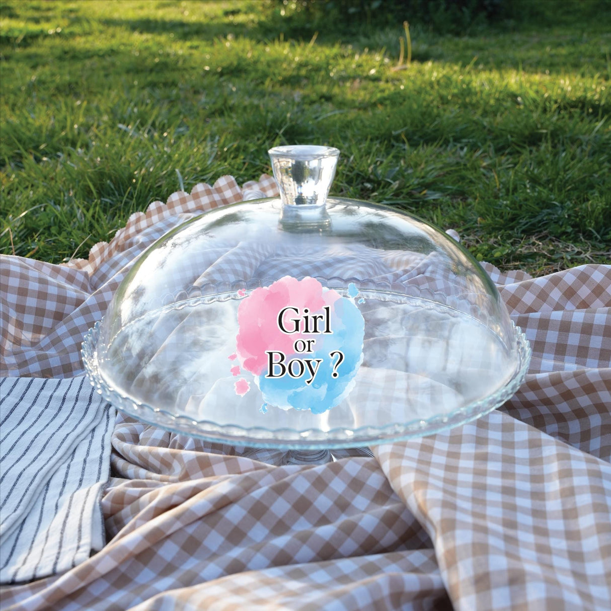 Personalized Gender Reveal Cake Stand: Glass Dome Dessert Display for Baby Shower, Boy or Girl Party