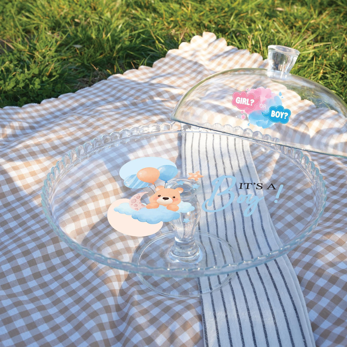 Gender Reveal Cake Stand with Dome Lid: Custom He or She Baby Shower Display, Party Table Decor