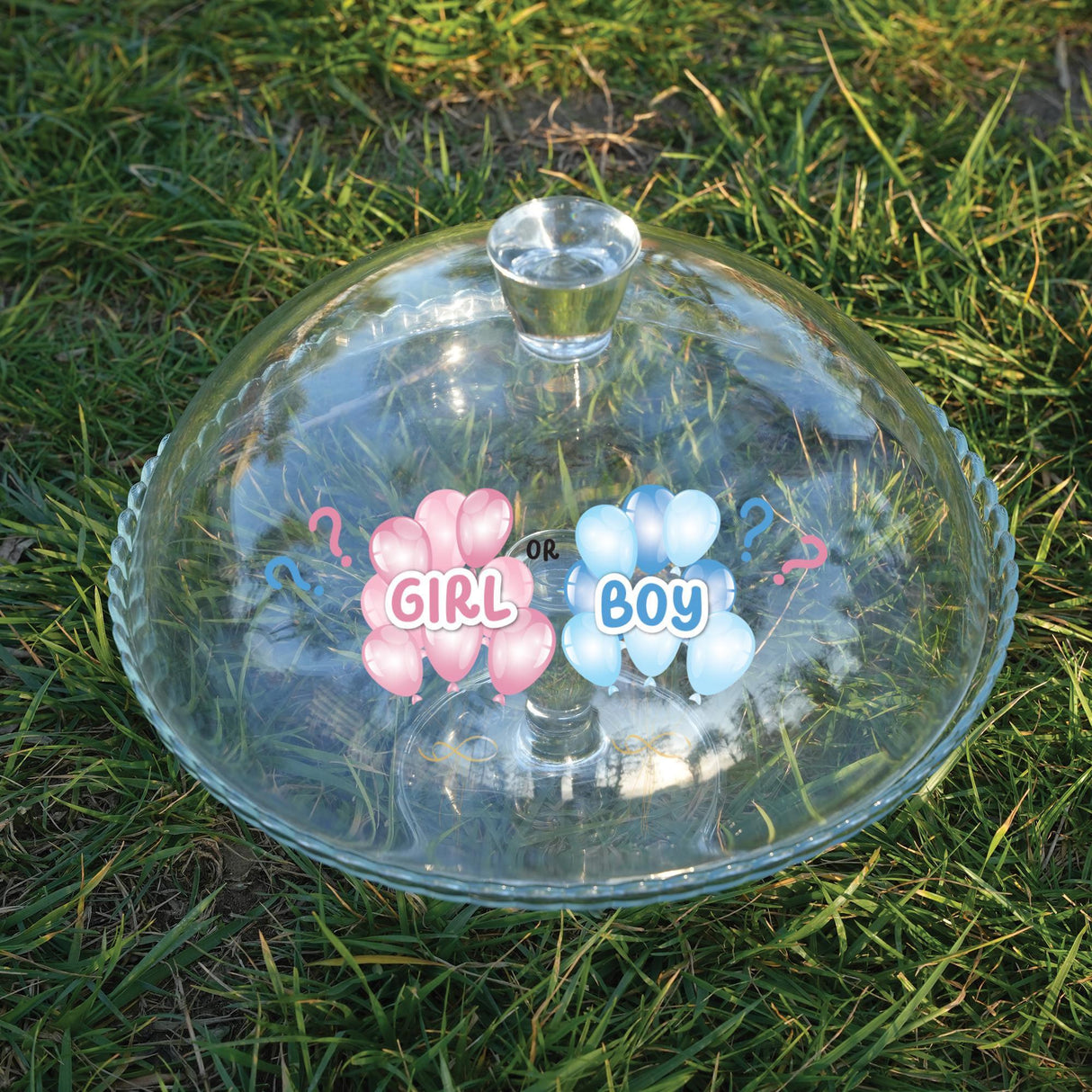 Gender Reveal Cake Stand with Dome Lid: Custom He or She Baby Shower Display, Party Table Decor