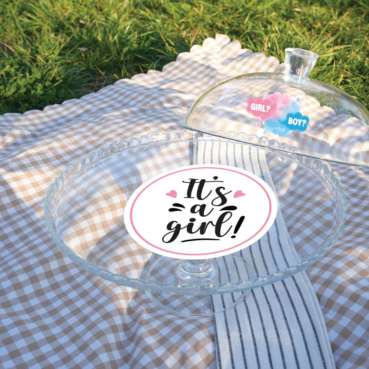 Gender Reveal Cake Stand with Dome Lid: Custom He or She Baby Shower Display, Party Table Decor