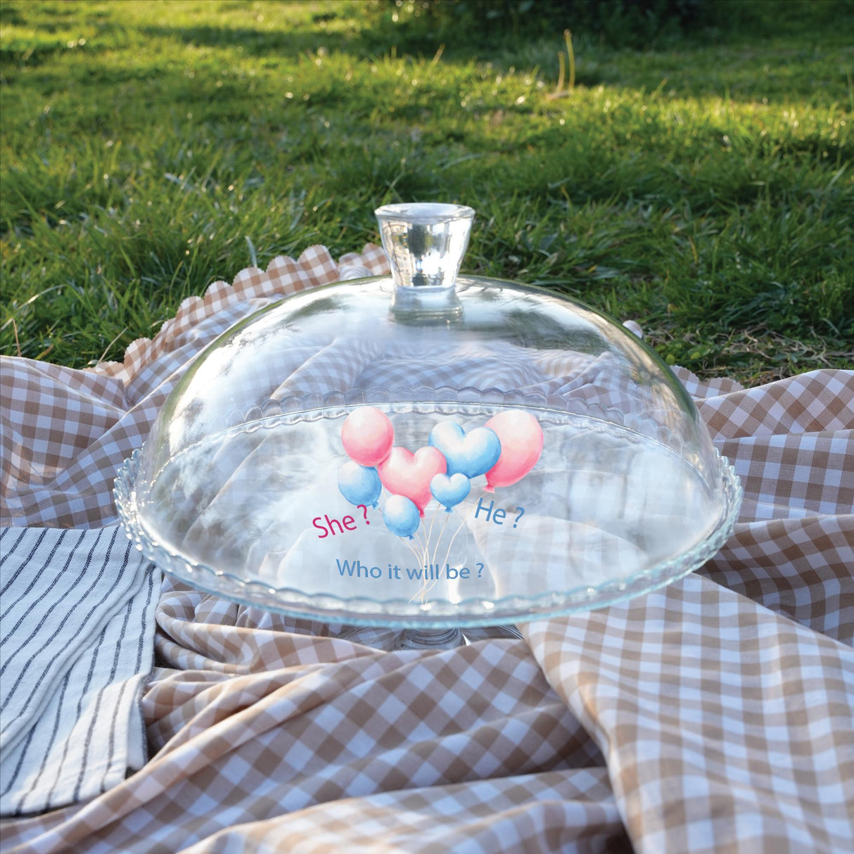 Gender Reveal Cake Stand with Dome Lid: Custom He or She Baby Shower Display, Party Table Decor
