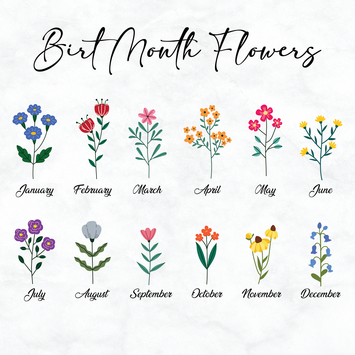 Personalized Live Edge Walnut Knife Display with Magnetic Board: Chef Kitchen Stand, Wall Decor