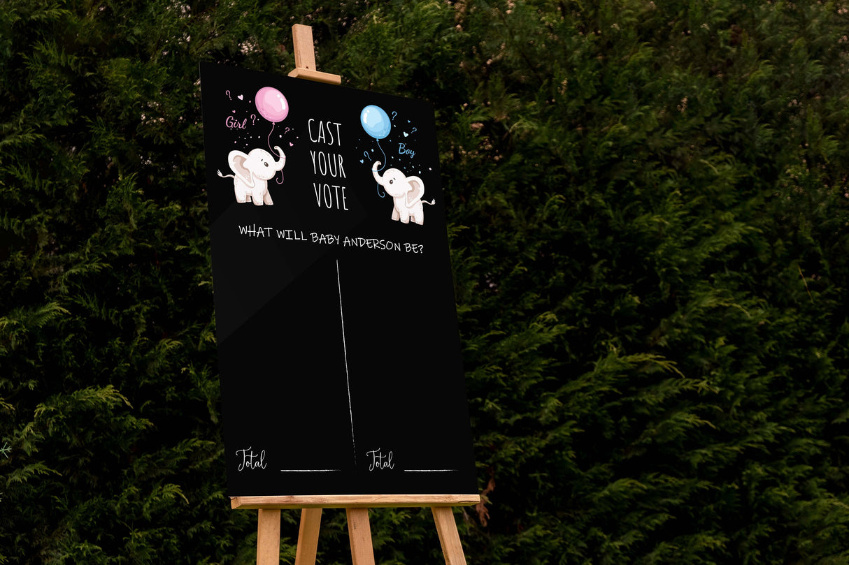 Custom Gender Reveal Party Welcome Sign, Boho Watercolor Welcome Sign, Large Gender Reveal Party Sign, Boy or Girl, Pampas Grass - Arria Home