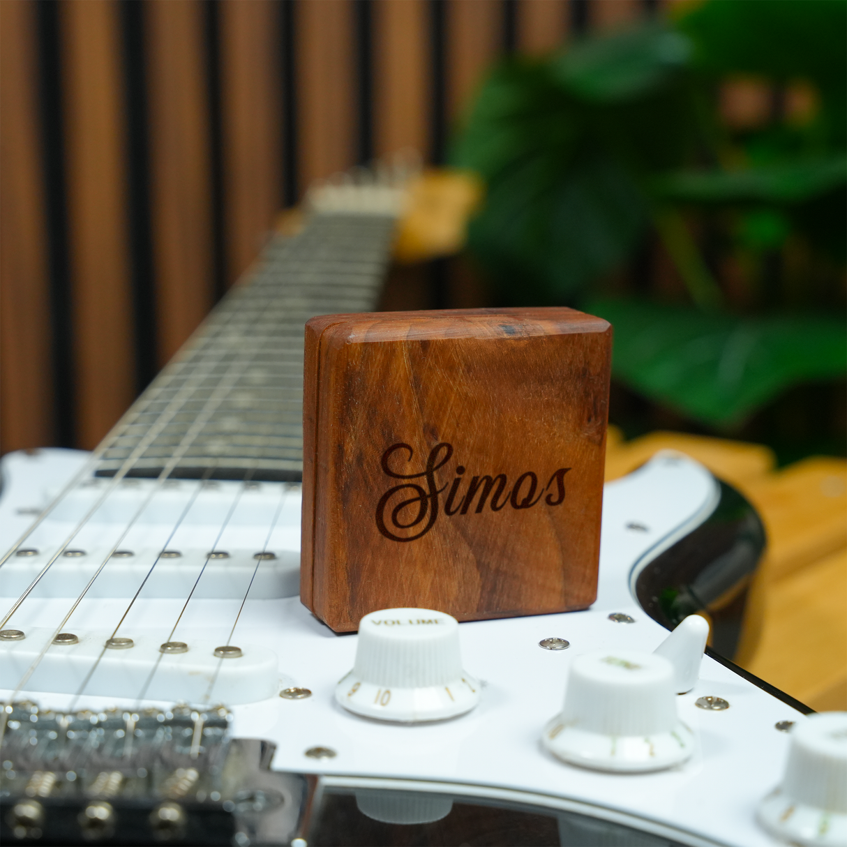 Personalized Wooden Guitar Pick Holder: Custom Magnetic Picks Display, Gift for Musician