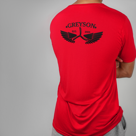 back view of a man wearing a red pilot t-shirt