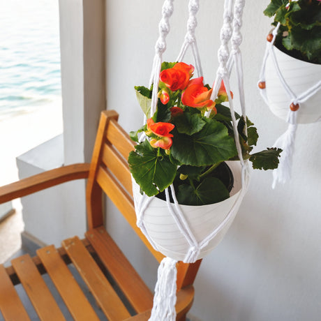 a wooden bench with a plant hanging from it