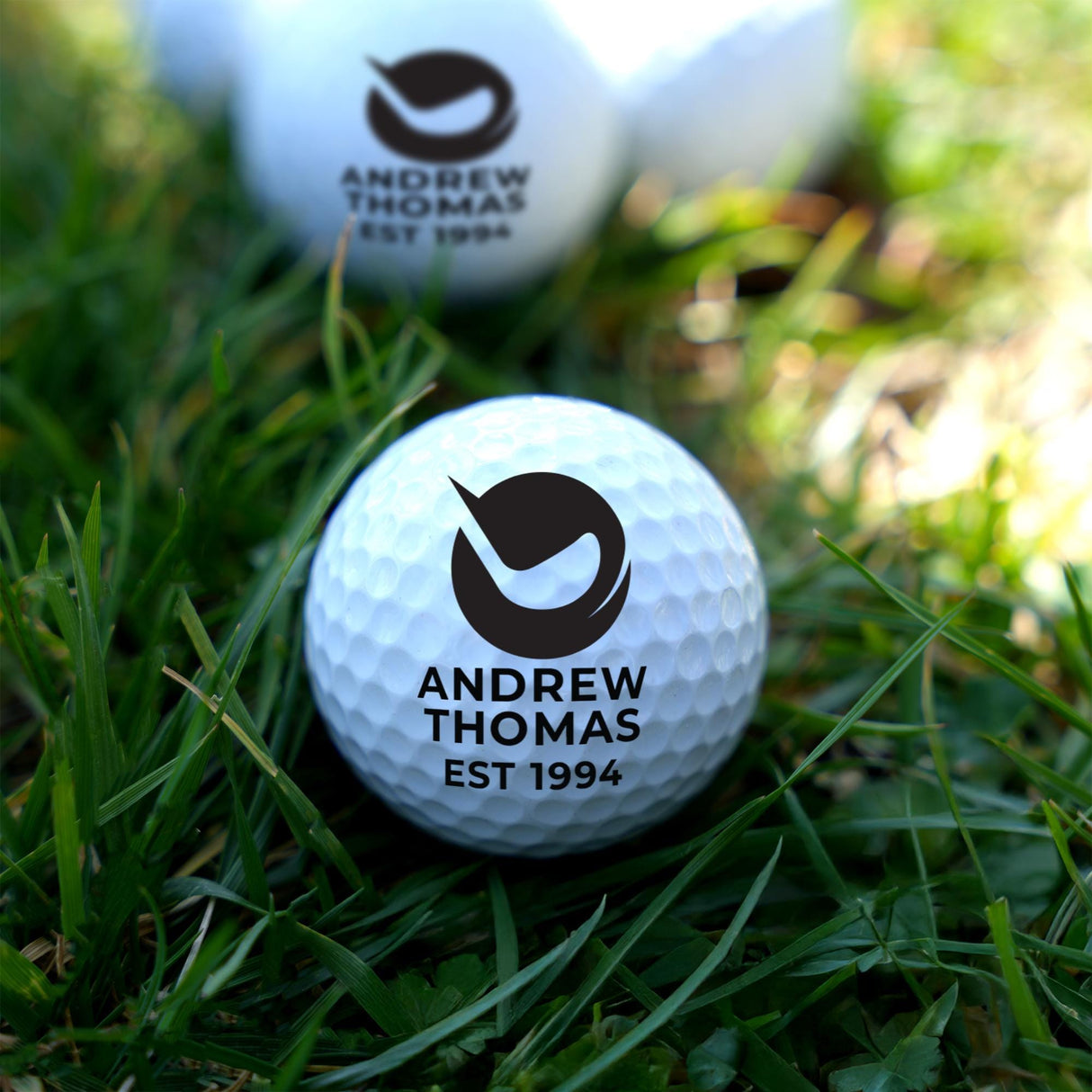 Custom Golf Ball, Graduation Gift, College Graduate Keepsake, Class Reunion Gift, Personalized Golf, Golf Senior Night Gifts, Golf Team Gift