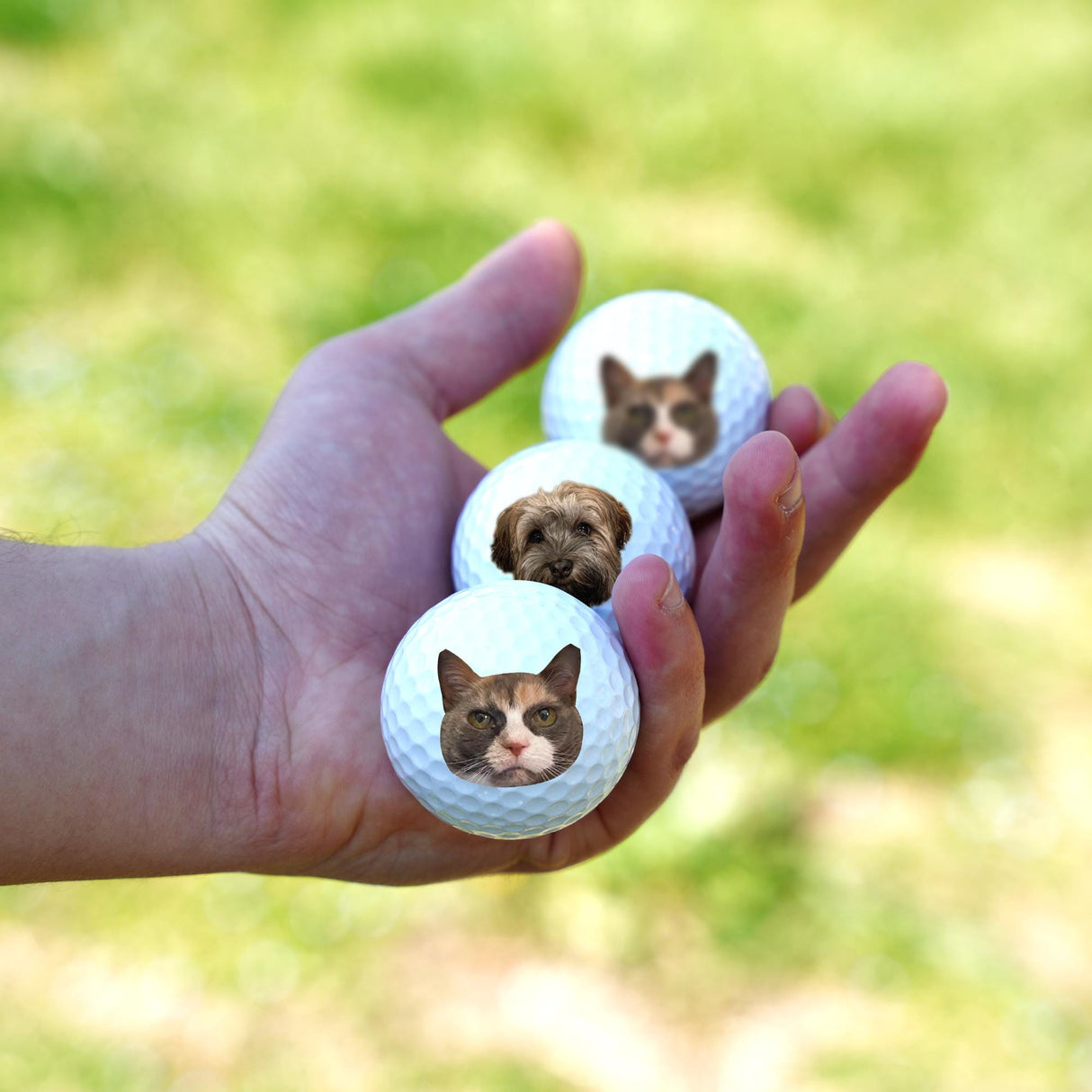 Personalized Golf Balls with Custom Photo or Logo, Funny Golf Gift Ideas, Senior Golfer Gift, Anniversary Gift, Golf Team Gift, Golfball