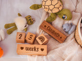 Personalized Baby Photo Props Milestone Wooden Blocks, Custom Nursery Room Decor, Baby Name Wood Cubes, Chemical Free Baby Room Decor Gift - Arria Home