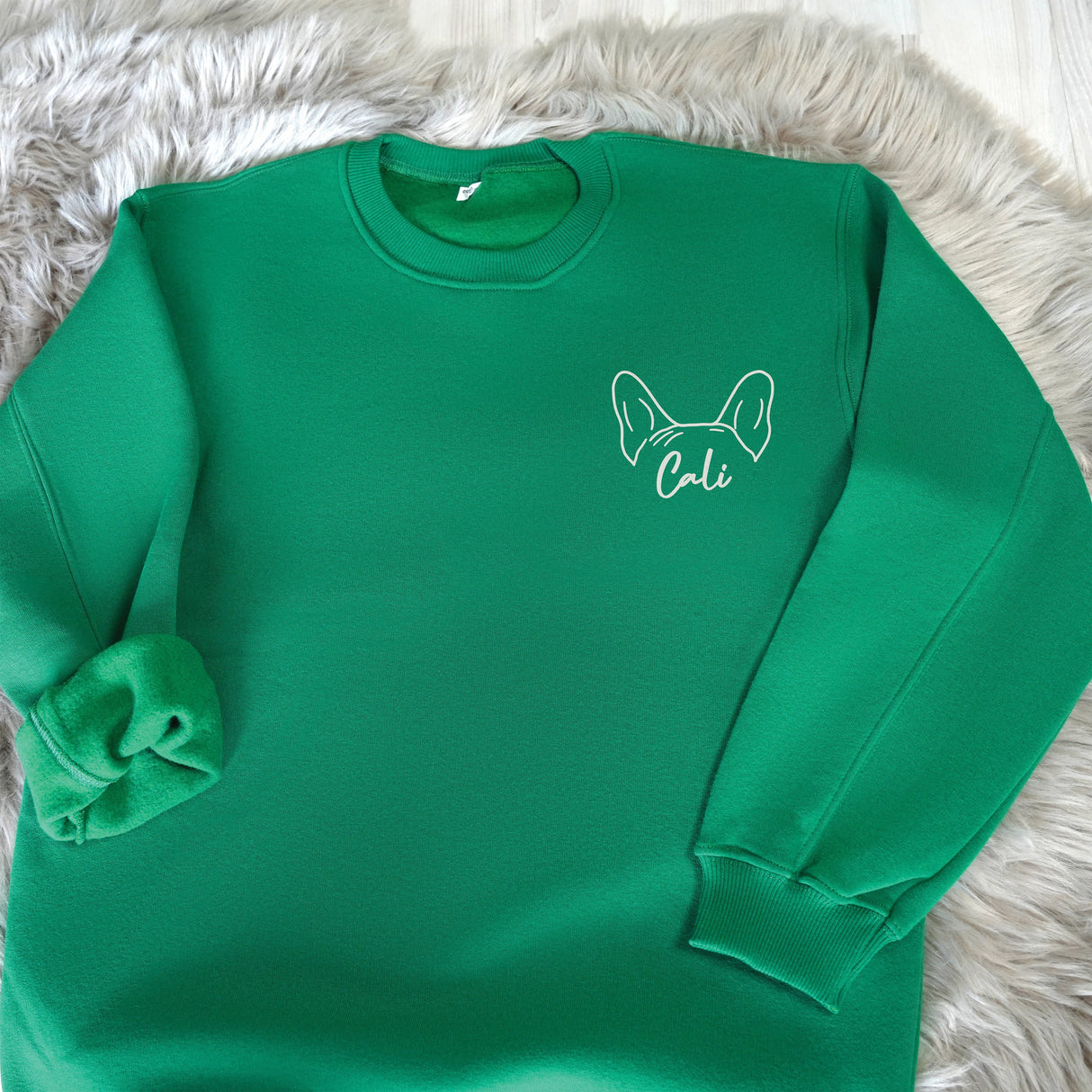 a green sweatshirt with a dog on it