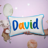 a person holding a pillow with the word david on it