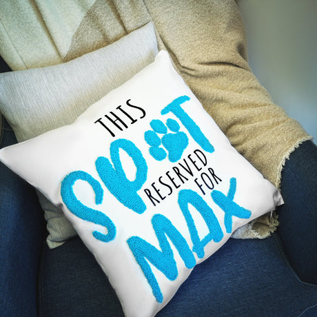 a pillow that says this is a test pillow