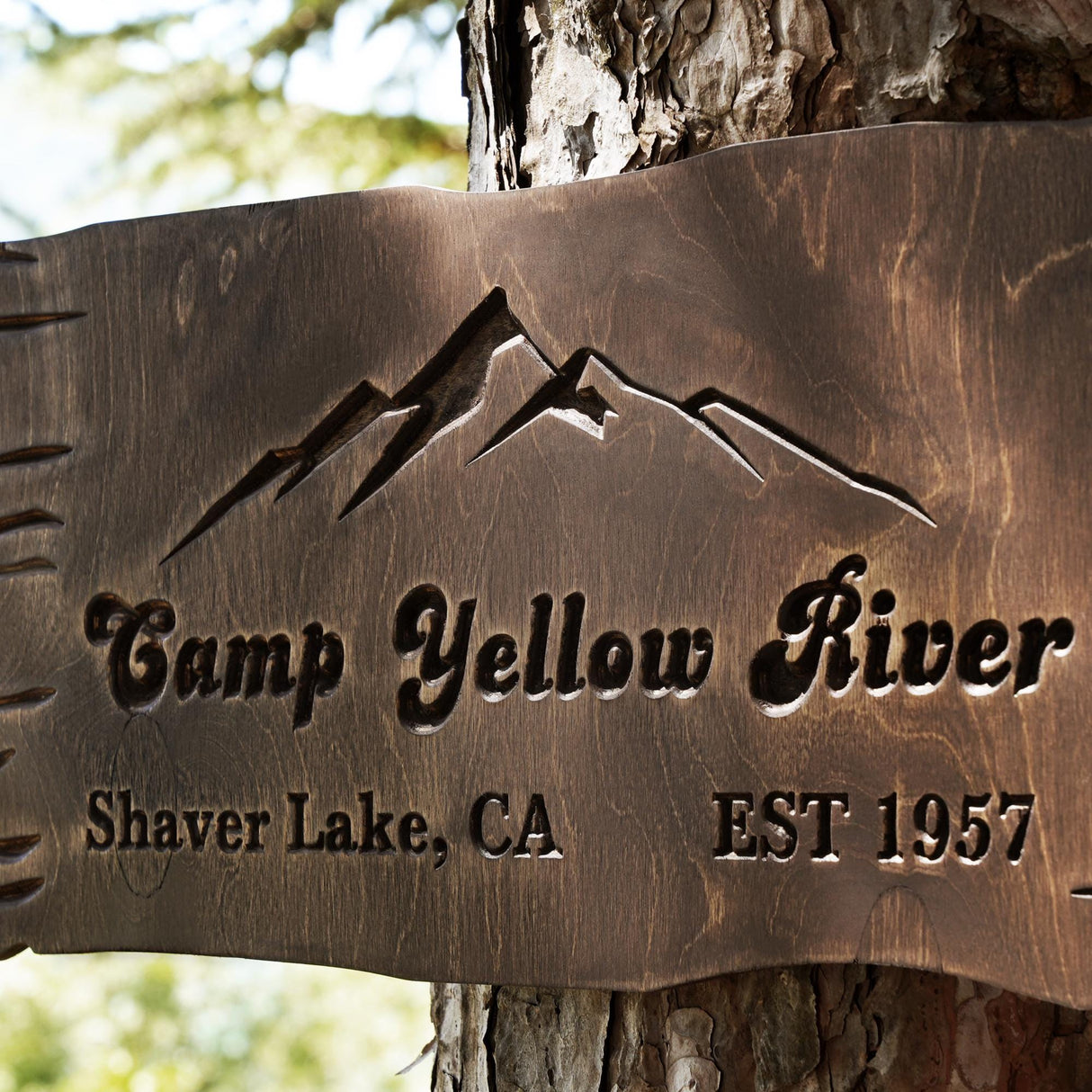 a sign on a tree that says camp yellow river