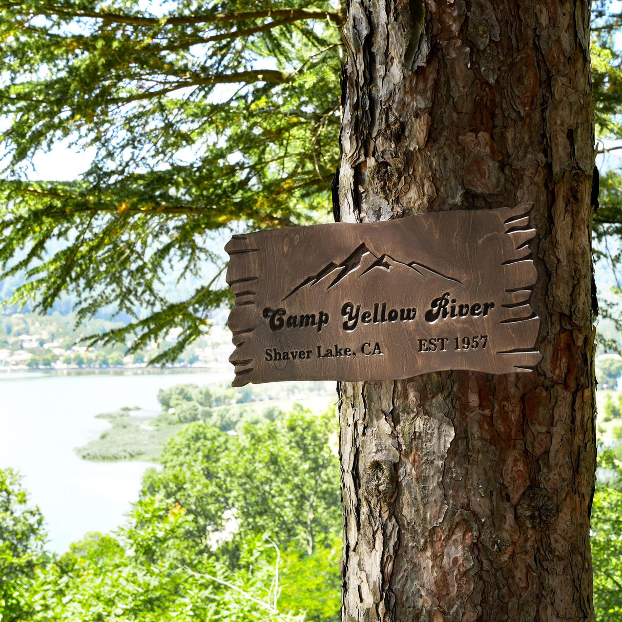 a sign on a tree that says camp yellow river