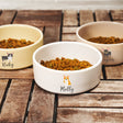 three bowls of dog food on a wooden table