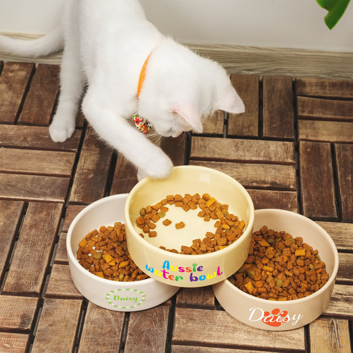 a white cat eating food out of a bowl