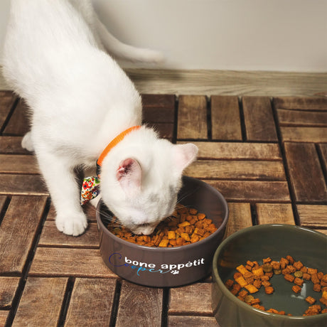 a white cat eating food out of a bowl