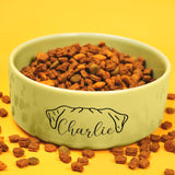 a bowl of dog food on a yellow background