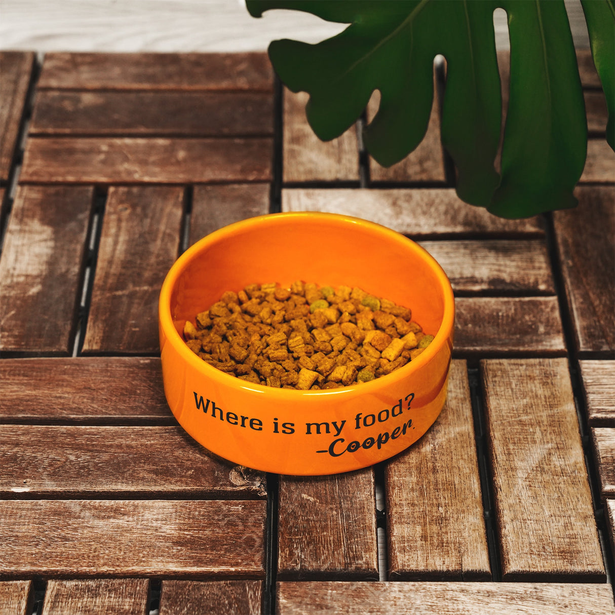 a bowl with a dog food in it that says, where is my food?