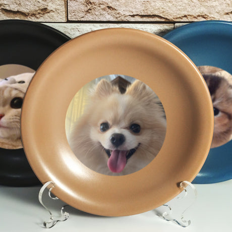 a picture of a dog and a cat in a plate