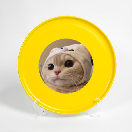 a yellow frisbee with a picture of a cat in it