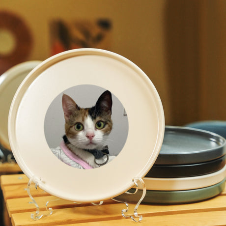 a picture of a cat with a collar on a plate