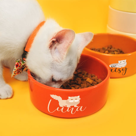 a white cat eating out of a red bowl