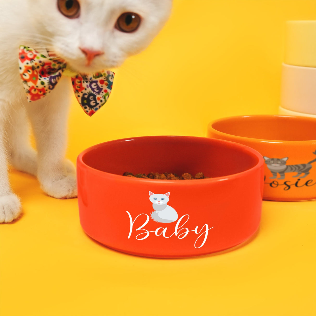 a white cat wearing a bow tie next to two bowls