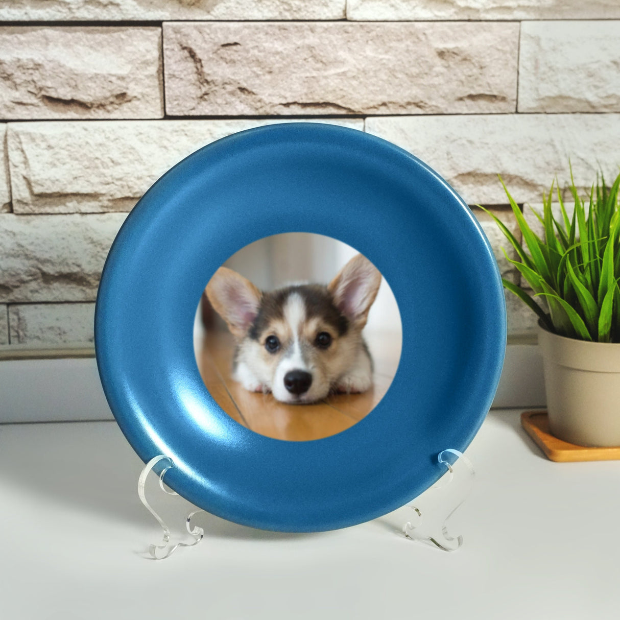 a blue frisbee with a picture of a dog in it